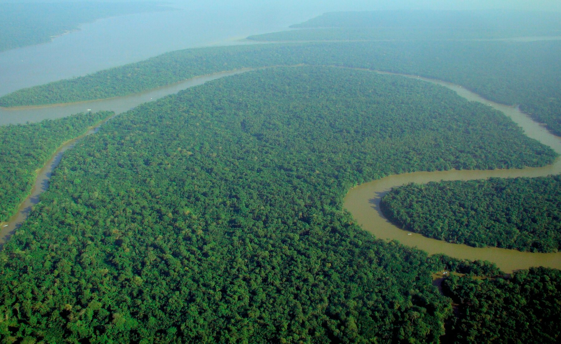 Amazon aerial view